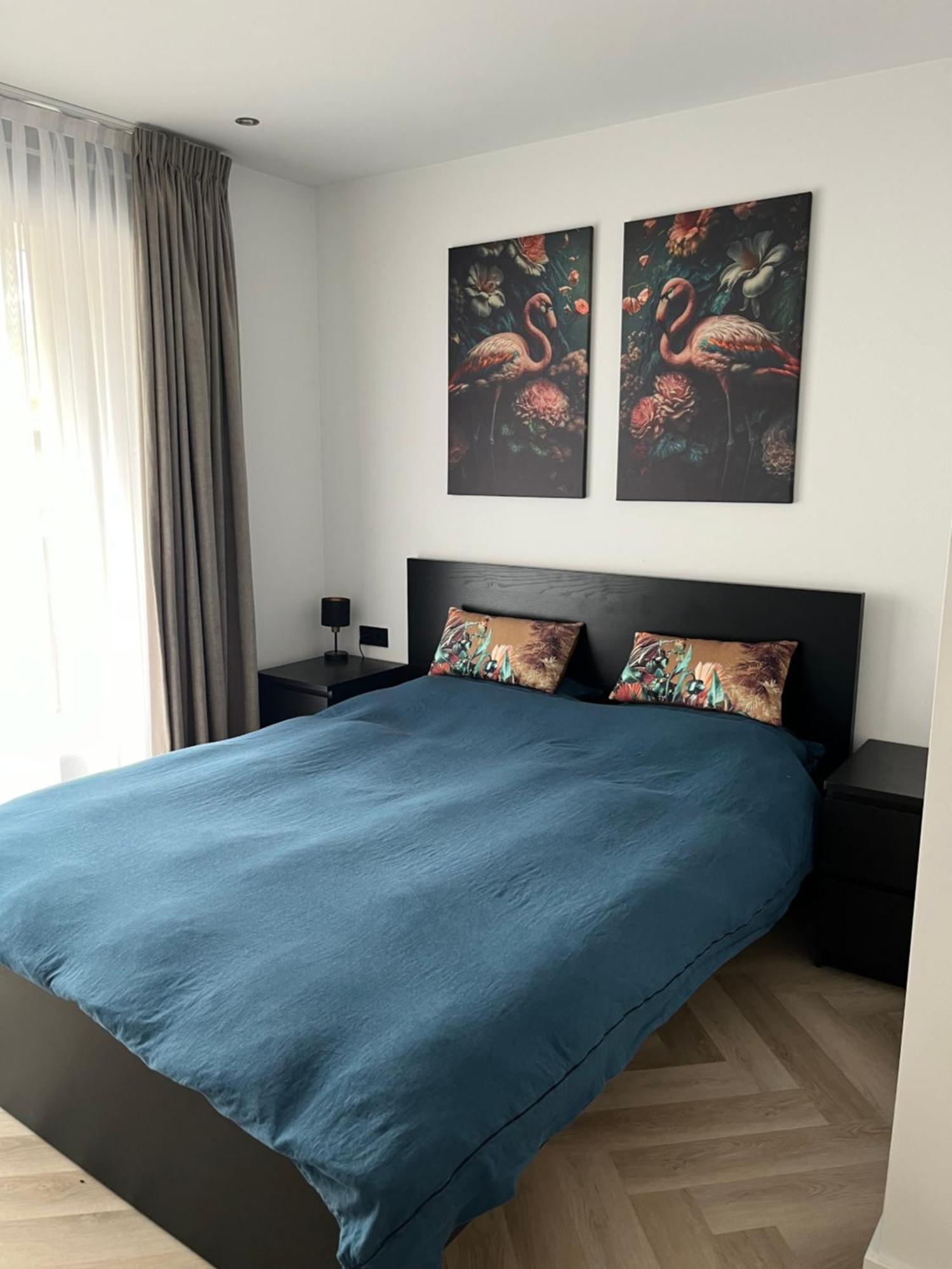 Boulevard 3F أرنهيم المظهر الخارجي الصورة